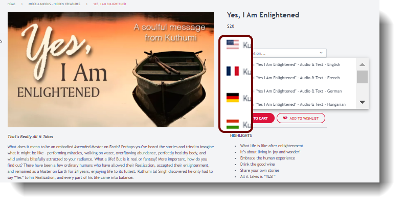 translations3.png