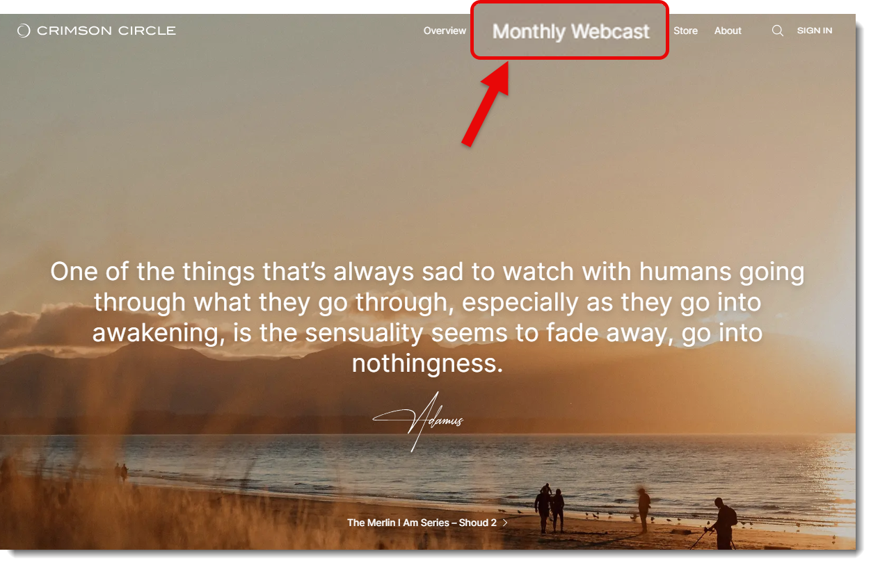 newweb_webcast4.png